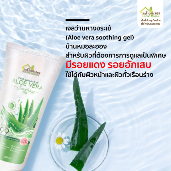 ว่านหางจระเข้หมอละออง